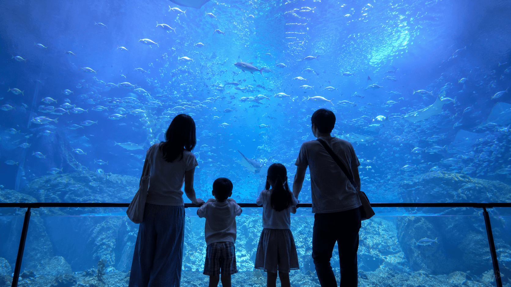 青くライトアップされた水族館の水槽を見上げる子連れ家族のシルエット