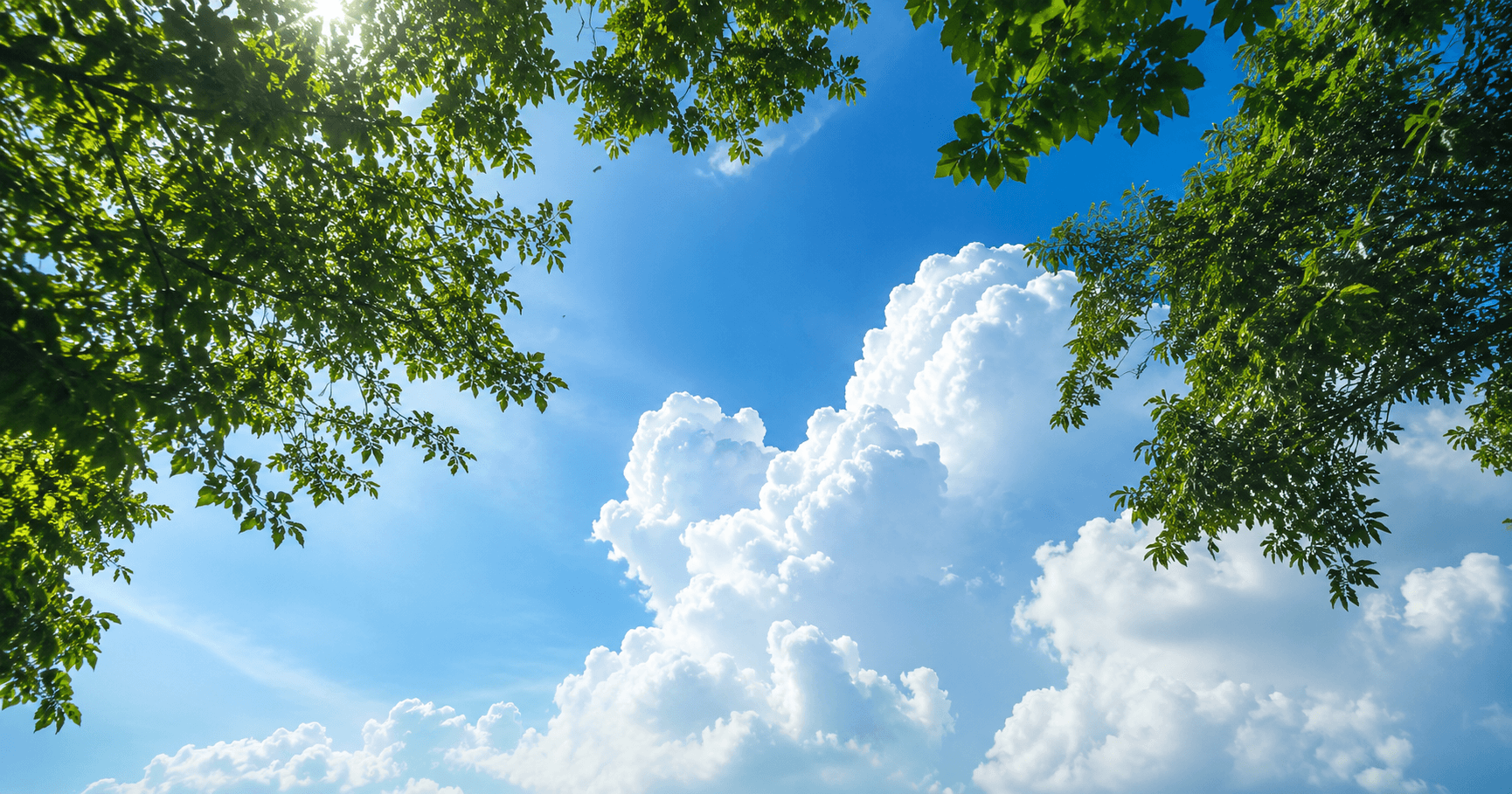 7月上旬の真夏の青空と入道雲、木陰から見上げる夏の朝のイメージ